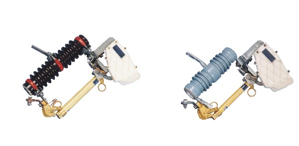 RW10-10F Outdoor Drop Type Fuse